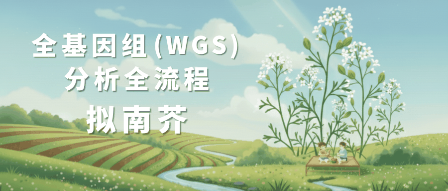 Testing Report