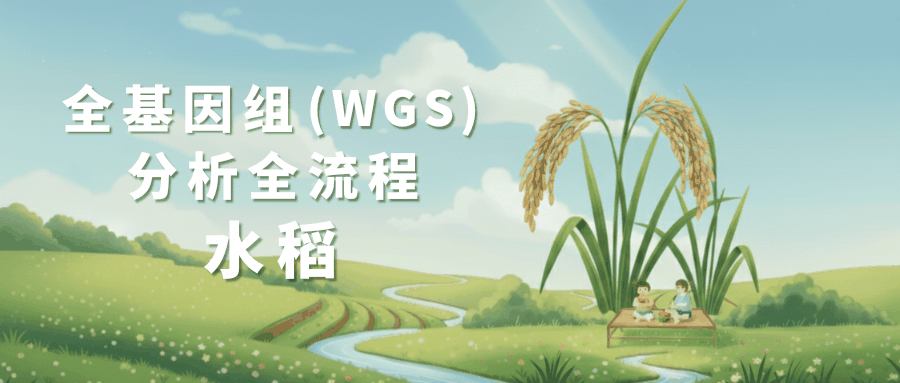 Testing Report