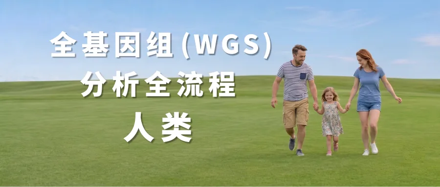 人类全基因WGS分析流程封面
