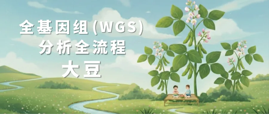 大豆全基因组WGS分析流程封面